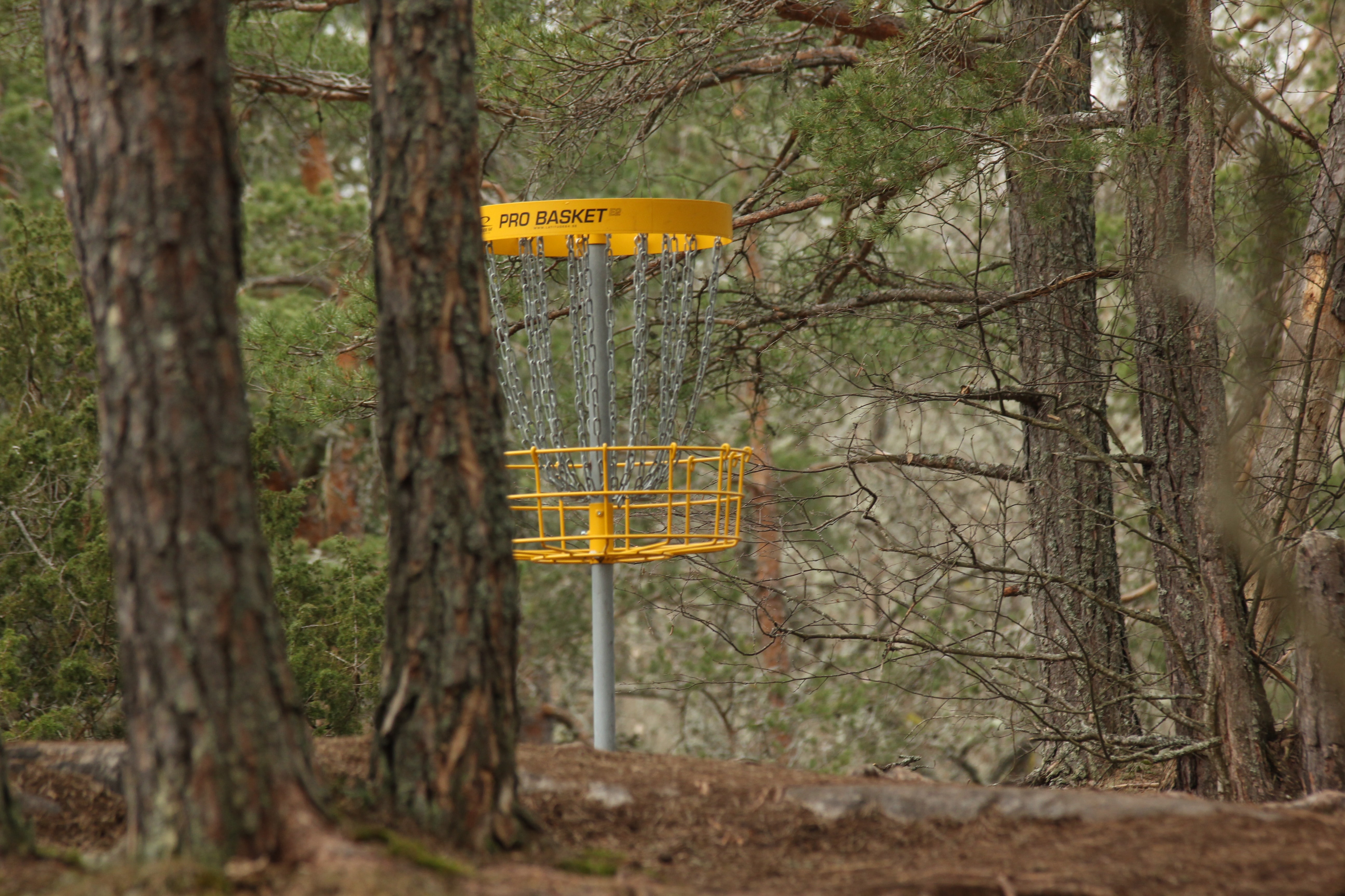 disc golf in oil city